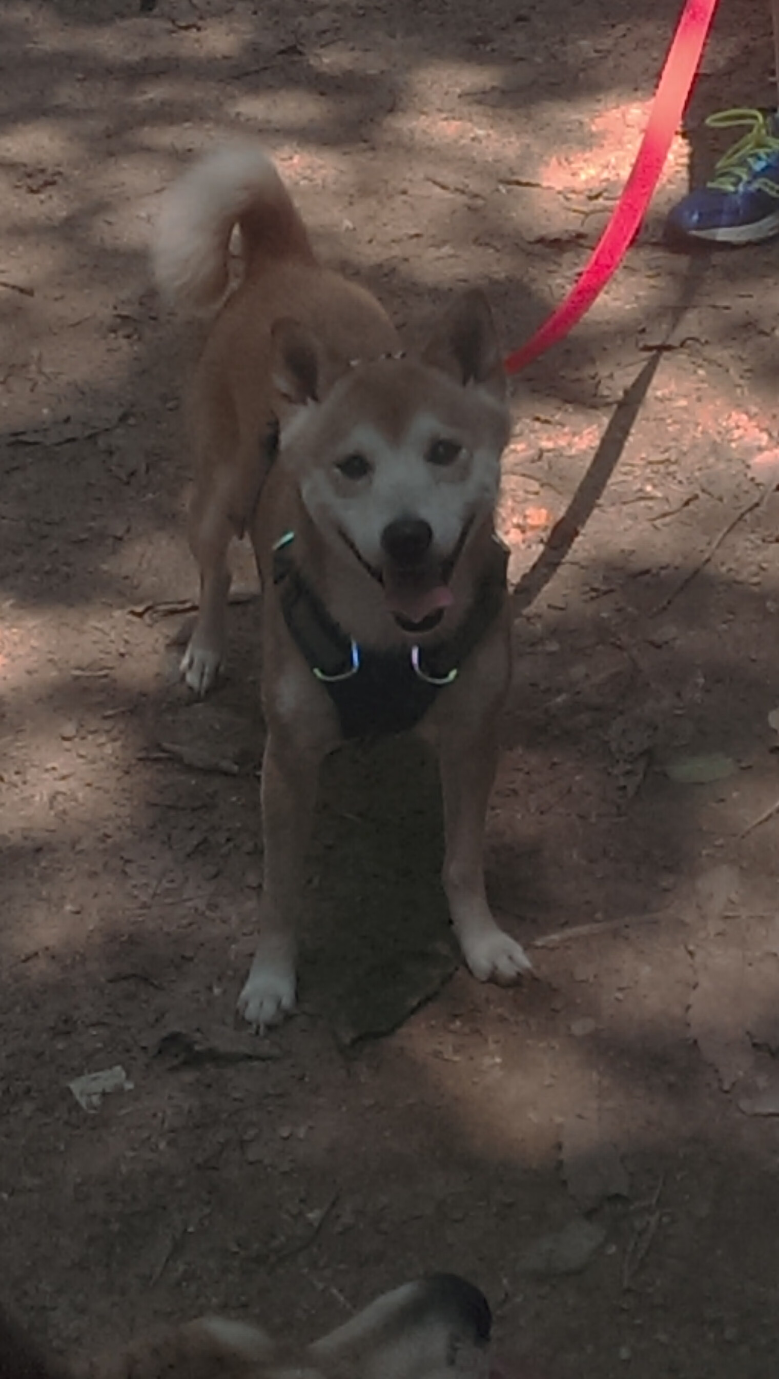 NBA常规赛最闪光的个人瞬间盘点,nba常规赛最闪光的个人瞬间盘点是什么