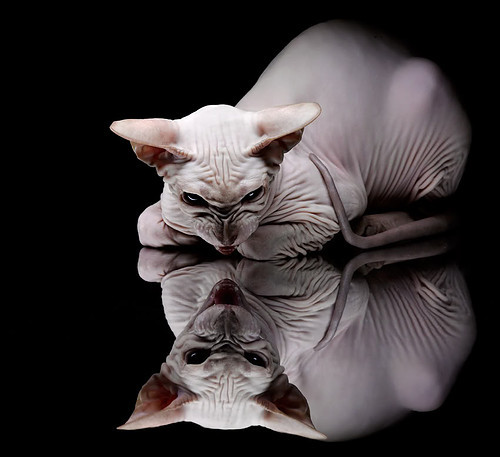 “中超裁判员技术培训提升赛事公正”,中超裁判员一场多少钱