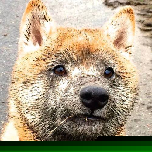 九游网页版官网-城市挑战极限跑，夜色之中尽情释放热情，城市极限跑酷游戏