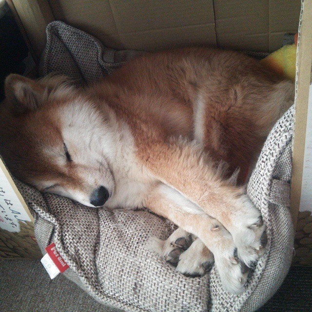 九游网页版官网入口-未来NBA：联盟数字化战略的深度探讨，nba未来联盟第一人