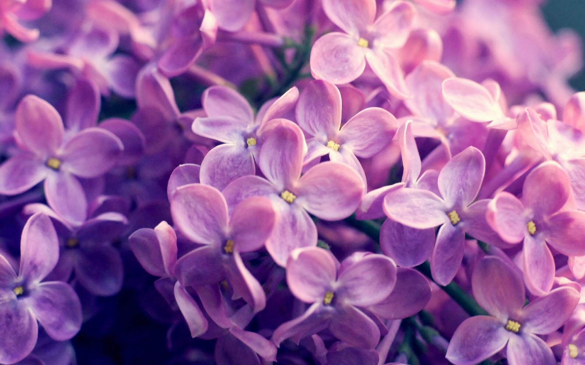 新赛季开局丰收,马赛豪取三连胜,马赛21-22赛季球衣