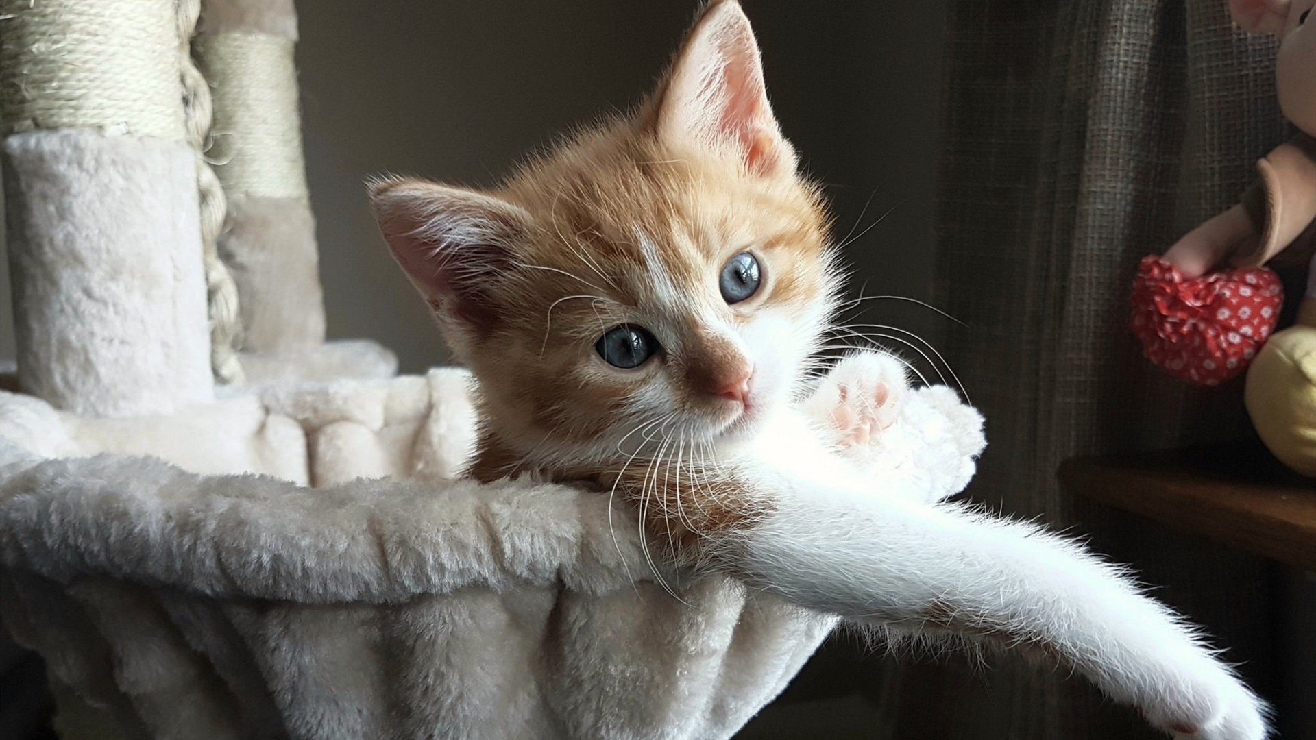 九游网-王者荣耀新版本平衡调整解析，王者平衡调整在哪看