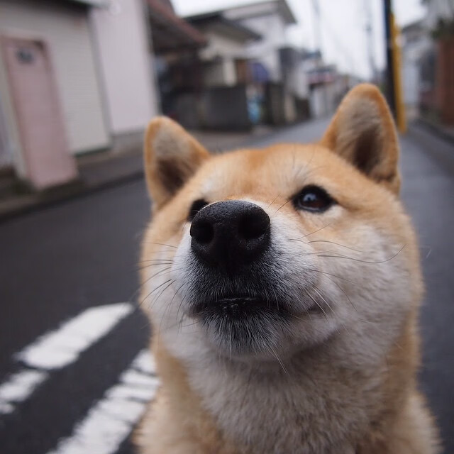 九游娱乐-精彩对决临近，女足赛程全新调整，女足足球赛