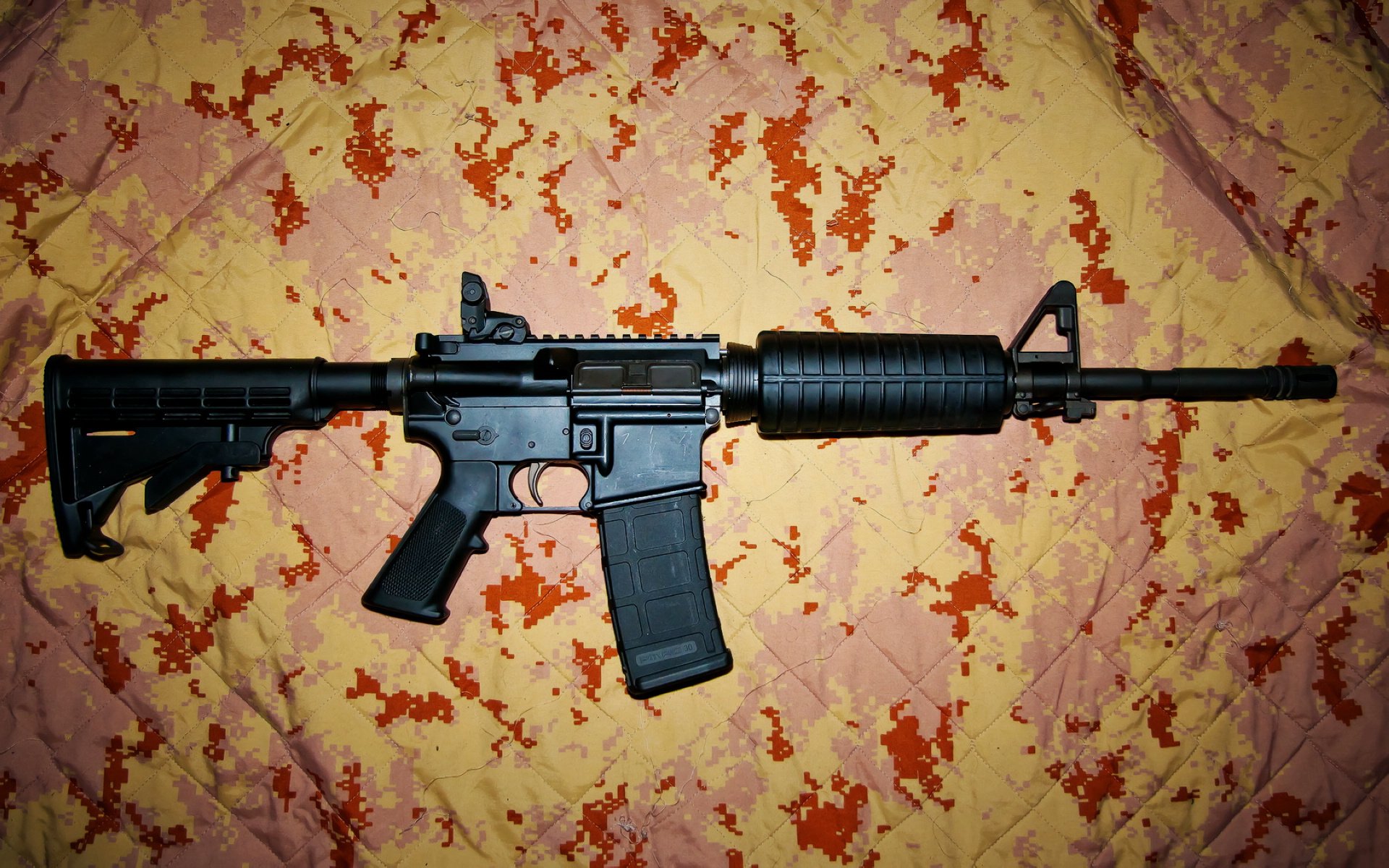 辽宁飞豹队在比赛中展现最佳状态,成功取胜,辽宁飞豹阵容