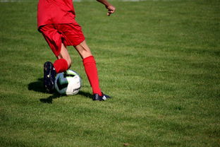 -篮球运动员训练负荷智能监控系统研发及应用，基础阶段篮球训练负荷安排