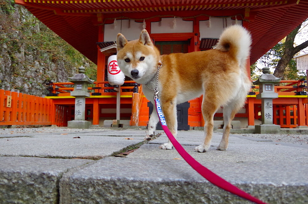 职业体育俱乐部社会责任报告评估标准研究,简述职业体育俱乐部的经营内容