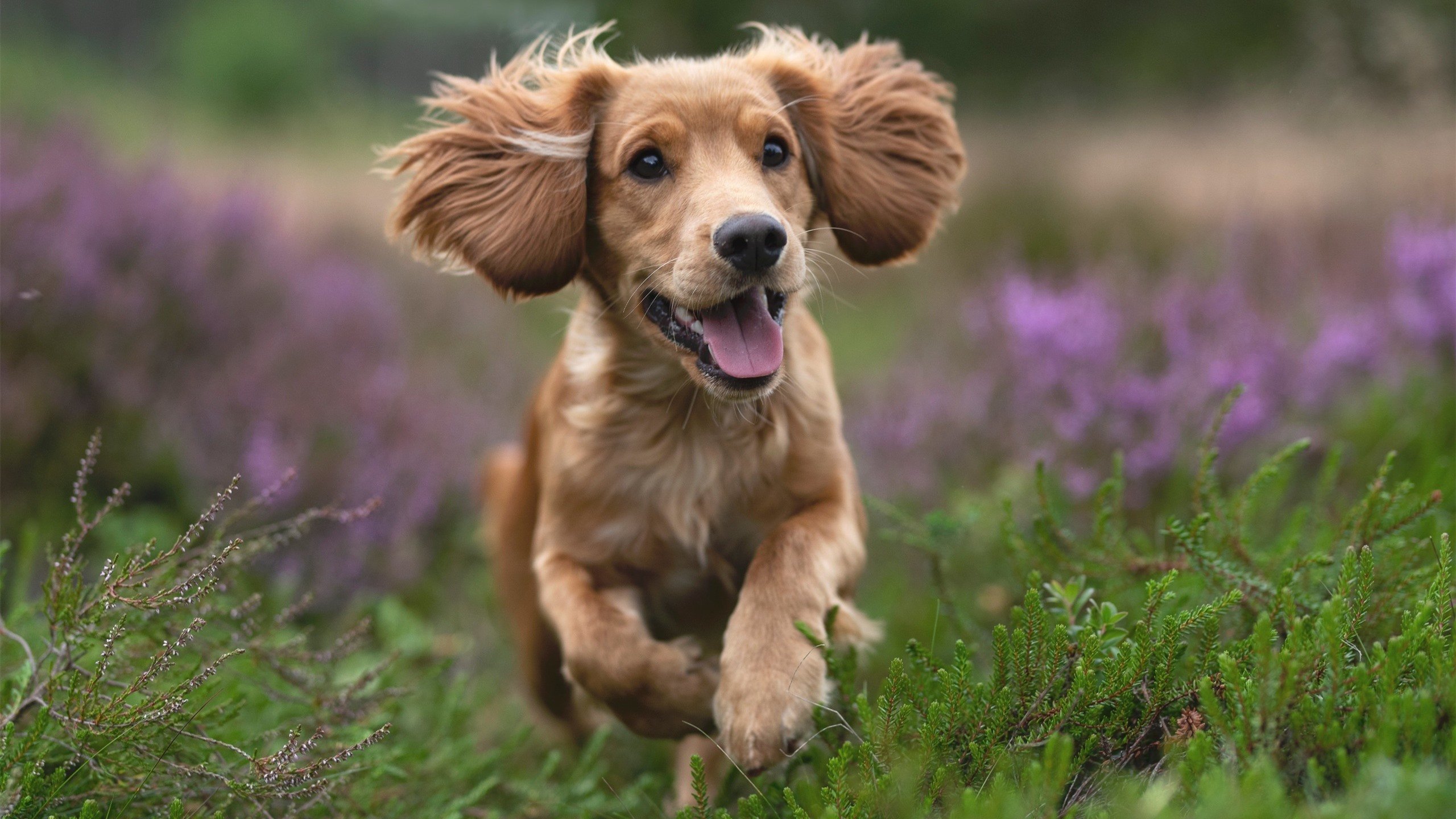 中国三人篮球男队积极备战冲击奥运资格,中国男子三人篮球运动员