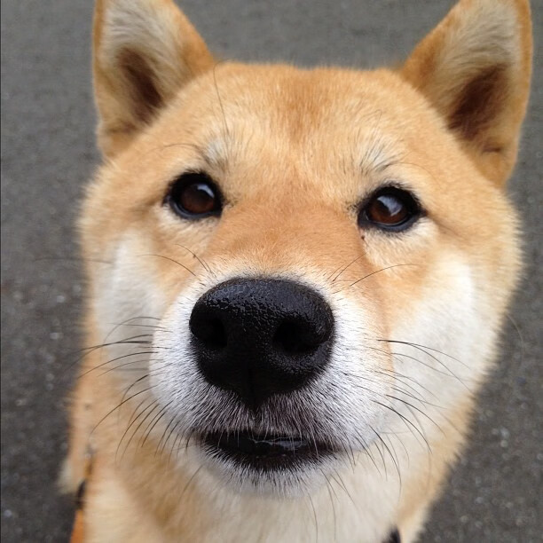 九游娱乐-俱乐部经营模式转型压力大，俱乐部怎样经营与管理