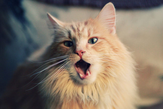 恩波利快速传控打法打乱对方布置,恩波利vs博洛尼亚比分结果