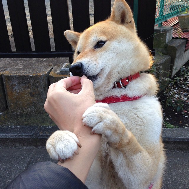 节奏混乱是否会影响球队核心球员判断,节奏感差会导致什么后果