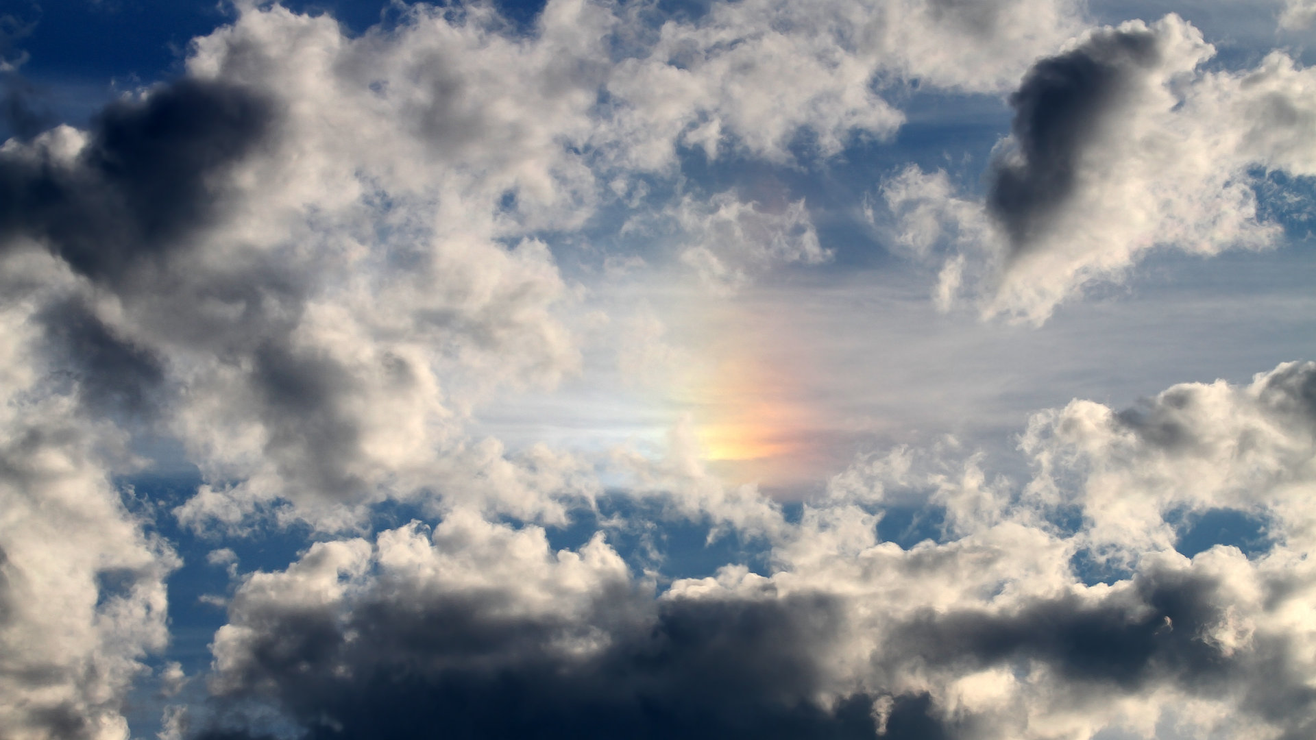 “埃尔斯·霍斯特:南非队不可或缺的防守核心”