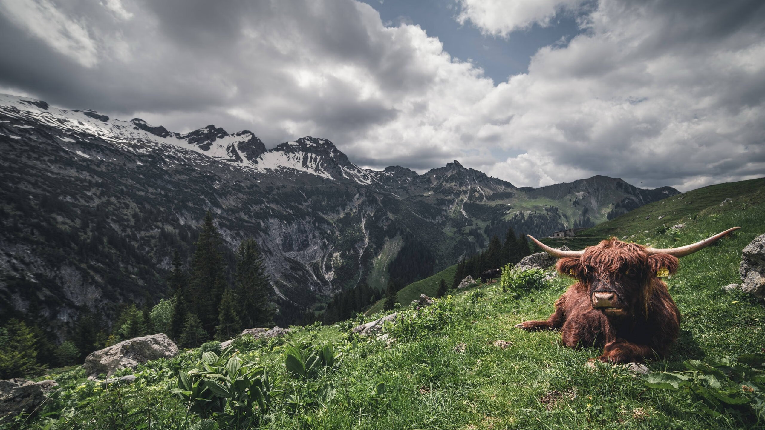 七六人掀起逆转高潮恩比德末节统治全场,恩比德复出首战砍下24分8板2助3帽