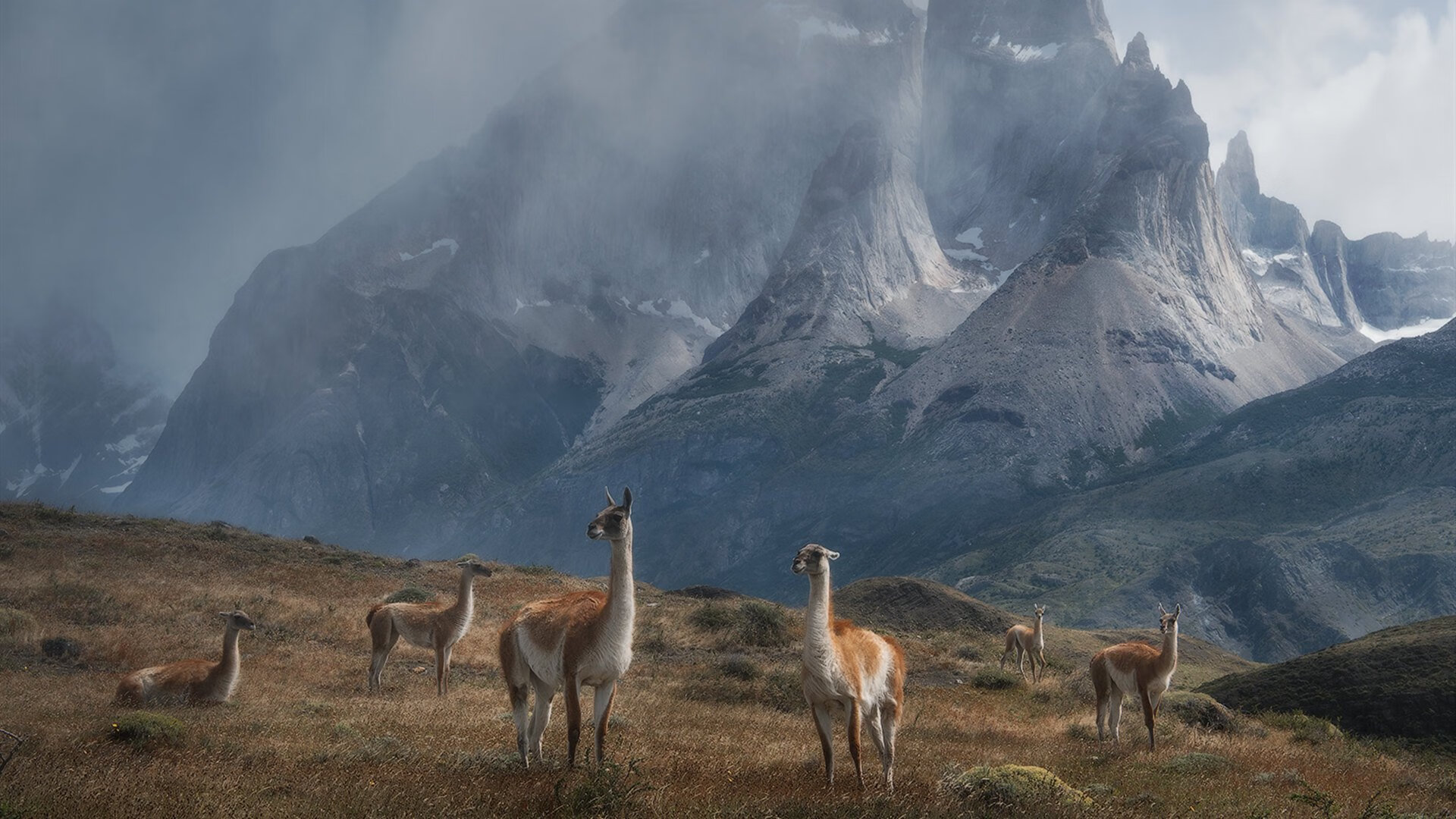 九游娱乐-城市篮球联赛加入高校联队提升比赛竞技水平与观赏体验，市级篮球联赛