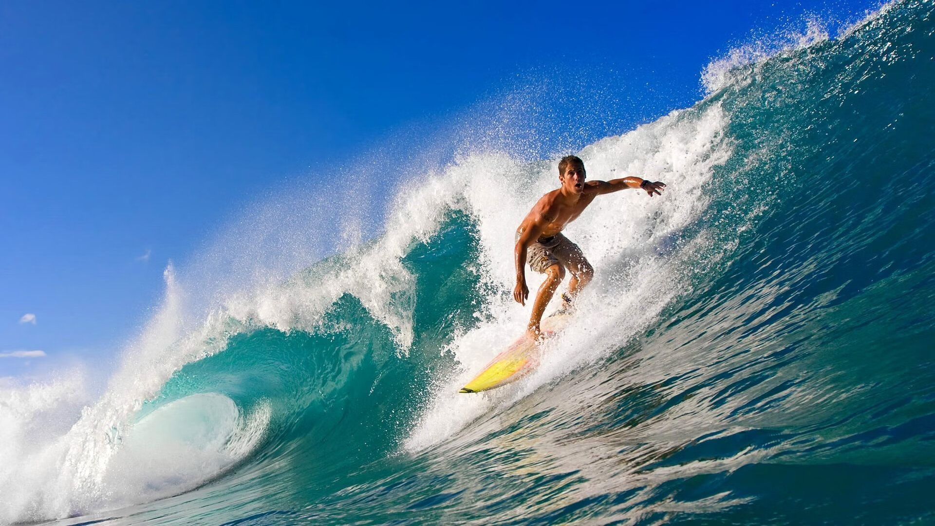 九游APP官网-德甲的球迷参与度提升方案，德甲球迷助威