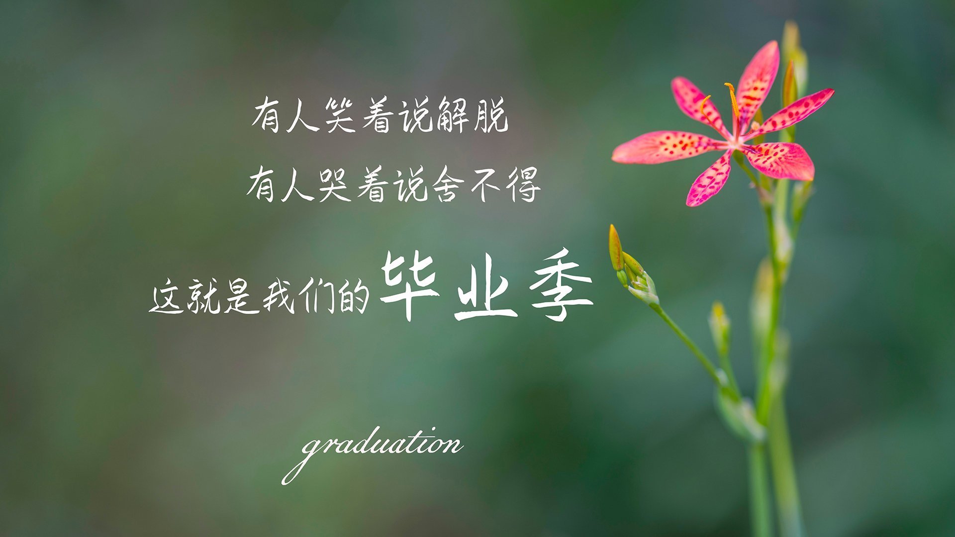 九游电脑版-王宗源稳扎稳打突破自我，王宗源采访视频