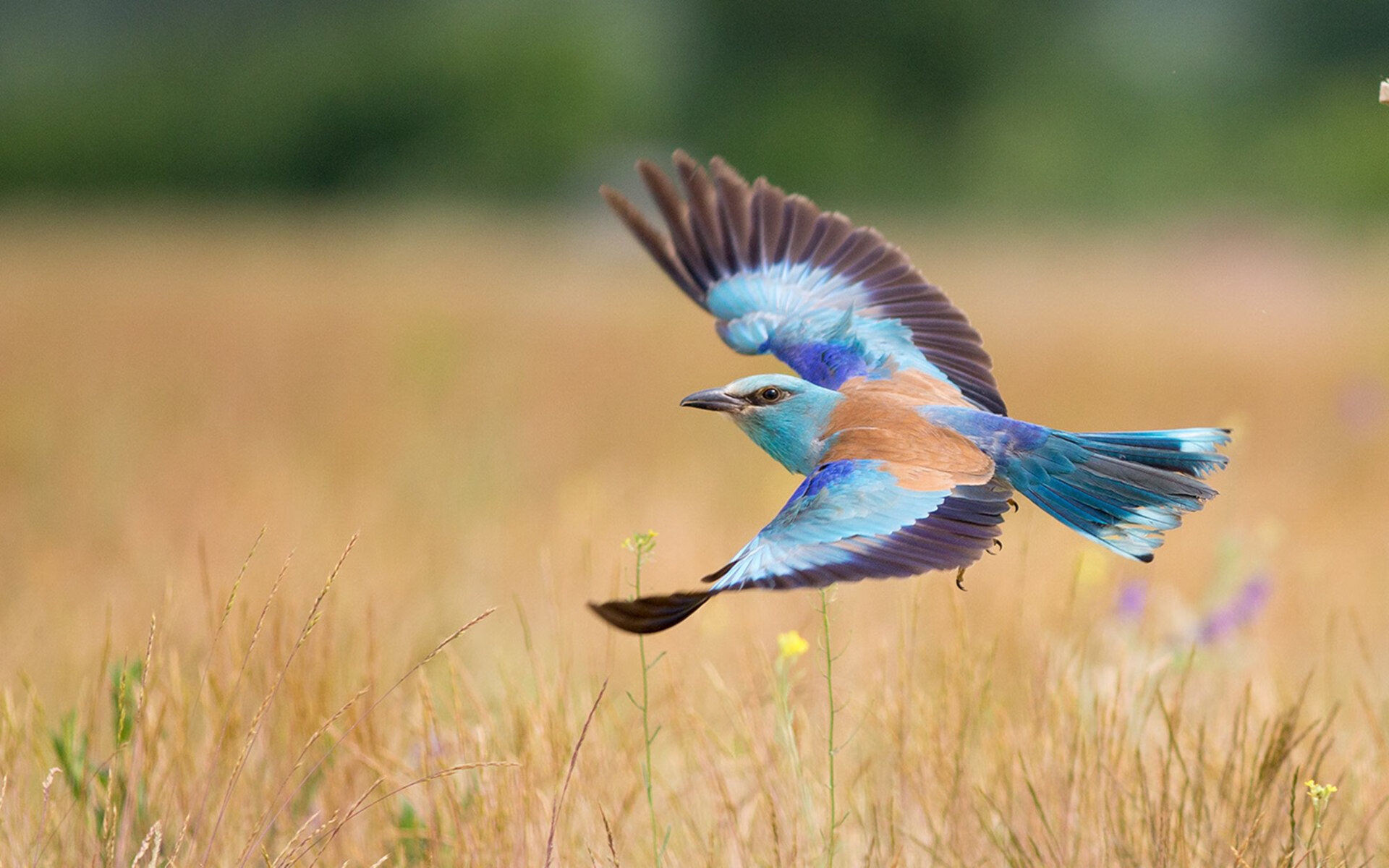 JiuyouAPP下载-青训选拔采用匿名测试机制保障公平选拔流程