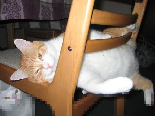 高校篮球推广校际友谊赛促进运动交流合作,校际篮球赛交流宣传标语