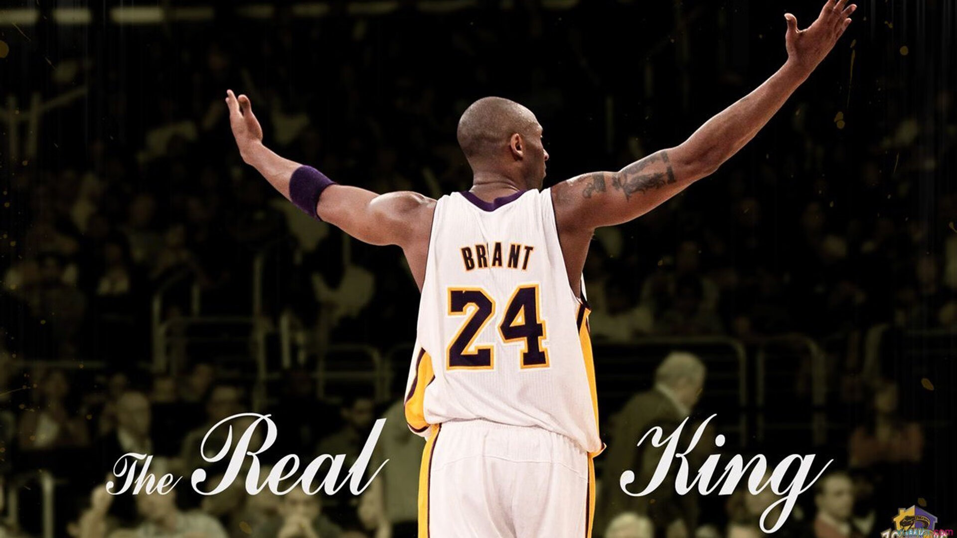 勇士队新战术体系初显成效，连战连捷，勇士队进攻战术集锦